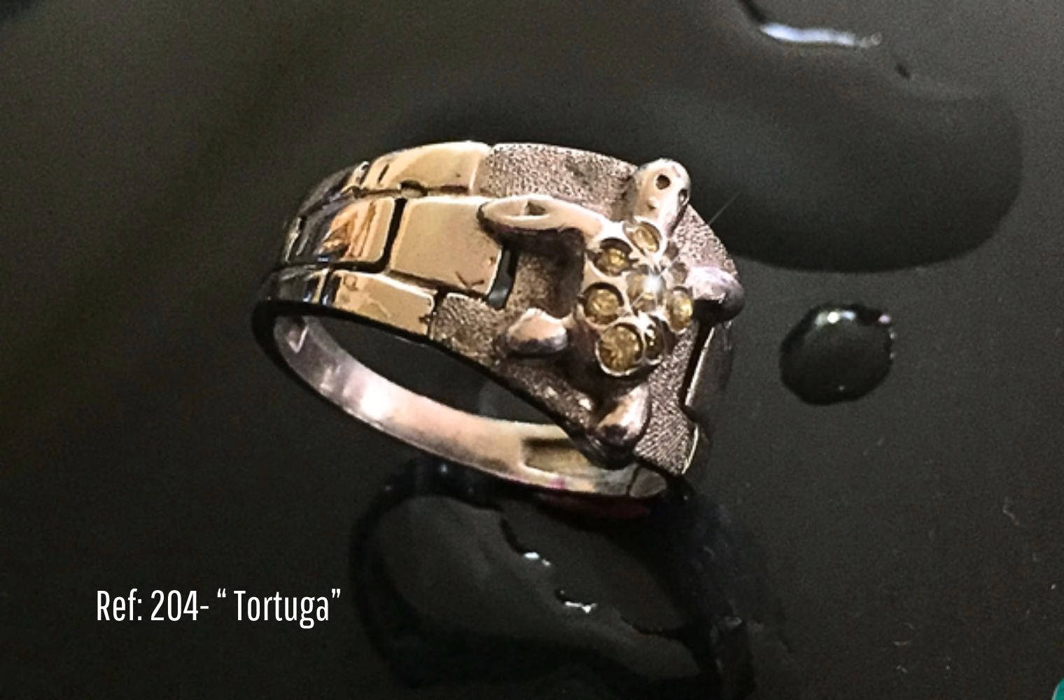 Anel Tortuga